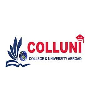 Colluni Education Consultant